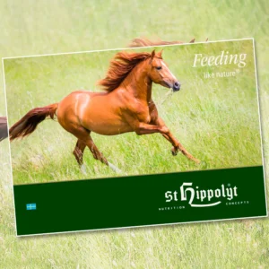 St. Hippolyt Katalog - 1 st.